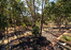 BYFORD,