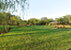 OAKFORD,sale