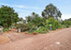 JARRAHDALE,sale