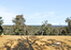 BYFORD,sale
