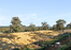 BYFORD,sale