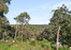BYFORD,sale